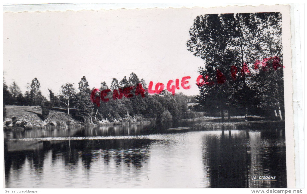 87 - MEZIERES SUR ISSOIRE - MEZIERE -  ETANG DE LA COTE - Meziere Sur Issoire