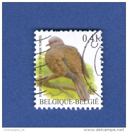 BELGIQUE 2002 N°  3129  OISEAU TOURTERELLE TURQUE 0.41 OBLITÉRÉ YVERT TELLIER 0.50 € - Sparrows