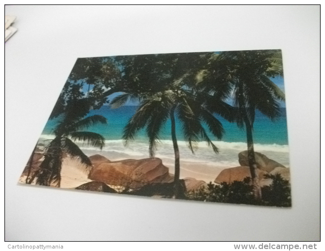 STORIA POSTALE FRANCOBOLLO COMMEMORATIVO SEYCHELLES BEACH VIEW MAHE - Seychelles