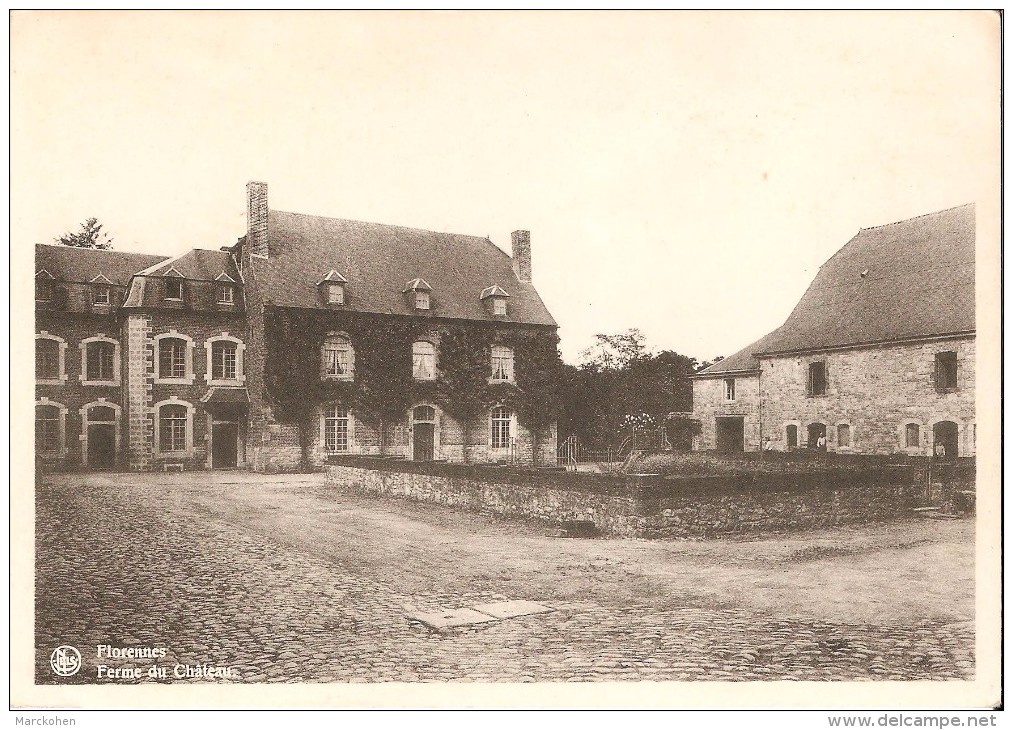 FLORENNES (5620) : Ferme Du Château. CPSM. - Florennes