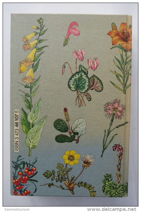 Edmund Launert "Gebirgsflora In Farben" 1275 Pflanzen Der Gebirge Europas - Natuur