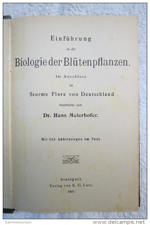 Dr. Hans Meierhofer "Biologie Der Blütenpflanzen" Von 1907 - Natura