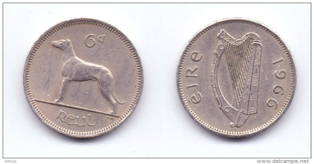 Ireland 6 Pence 1966 - Ierland