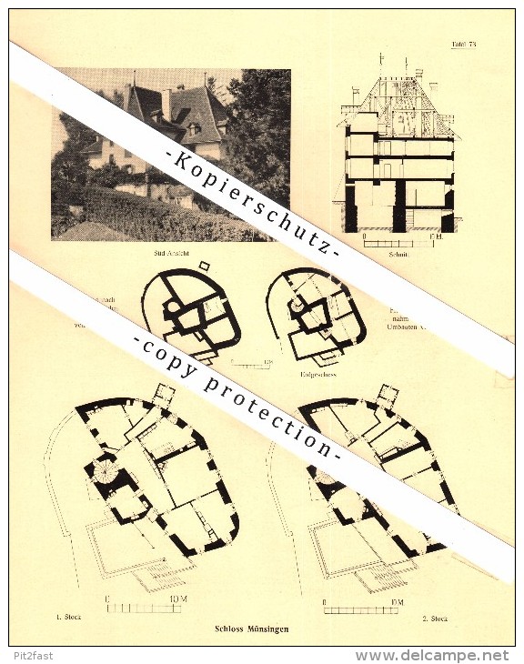 Photographien / Ansichten , 1922 , Schloss Münsingen , Prospekt , Architektur , Fotos !!! - Münsingen