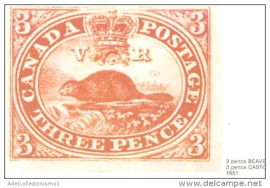 75411) Intero Postale Del Canada Da 8c. Raffigurante Il 3p. Castoro-nuova - 1953-.... Regno Di Elizabeth II