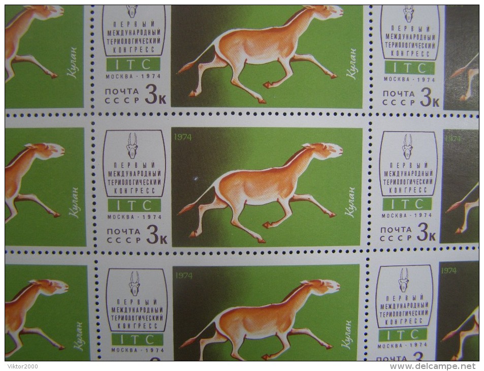 RUSSIA 1974 MNH (**)YVERT 4039 Horse.sheet , Neu .le Cheval - Full Sheets
