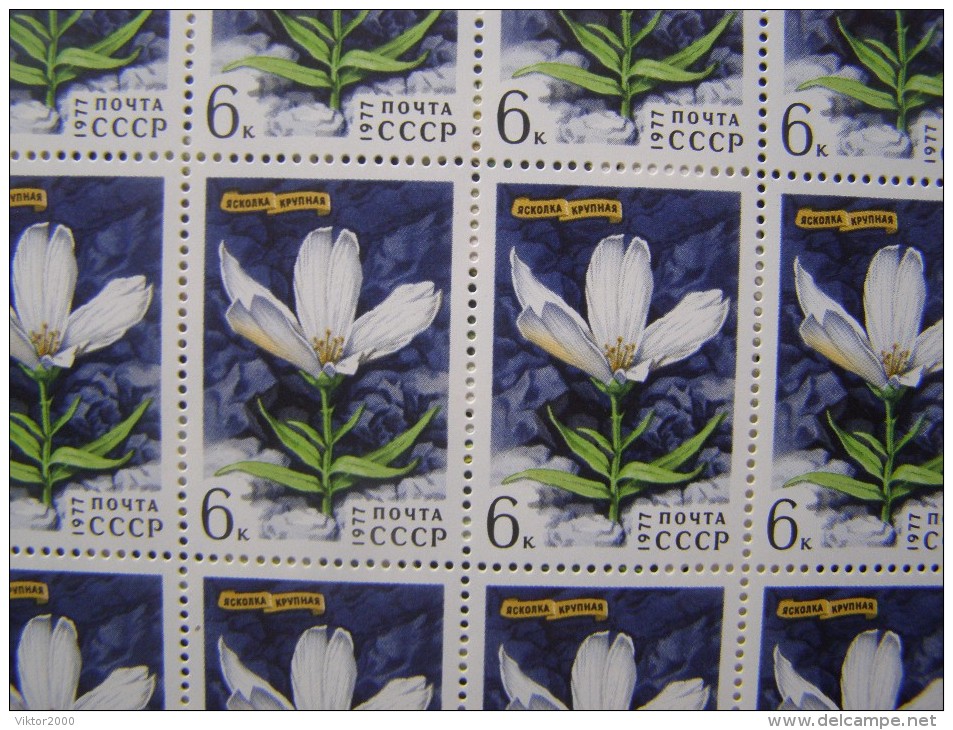 RUSSIA 1977 MNH (**)YVERT 4366-69.fleurs En Sibérie. - Fogli Completi