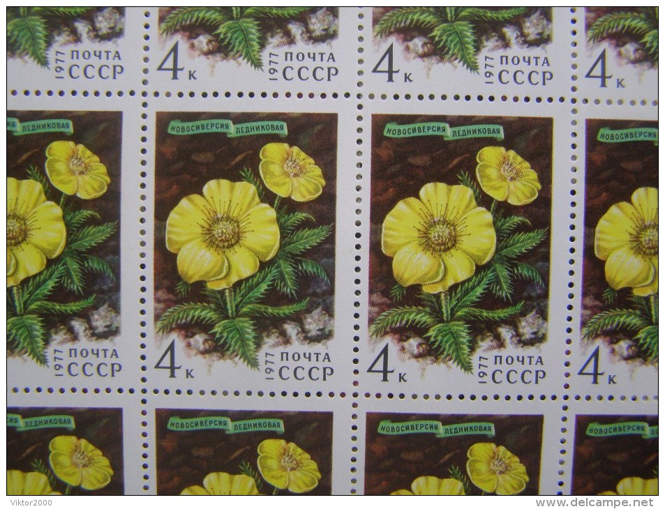 RUSSIA 1977 MNH (**)YVERT 4366-69.fleurs En Sibérie. - Fogli Completi