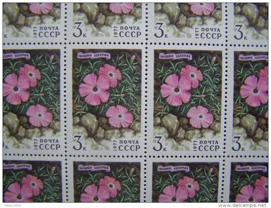 RUSSIA 1977 MNH (**)YVERT 4366-69.fleurs En Sibérie. - Volledige Vellen