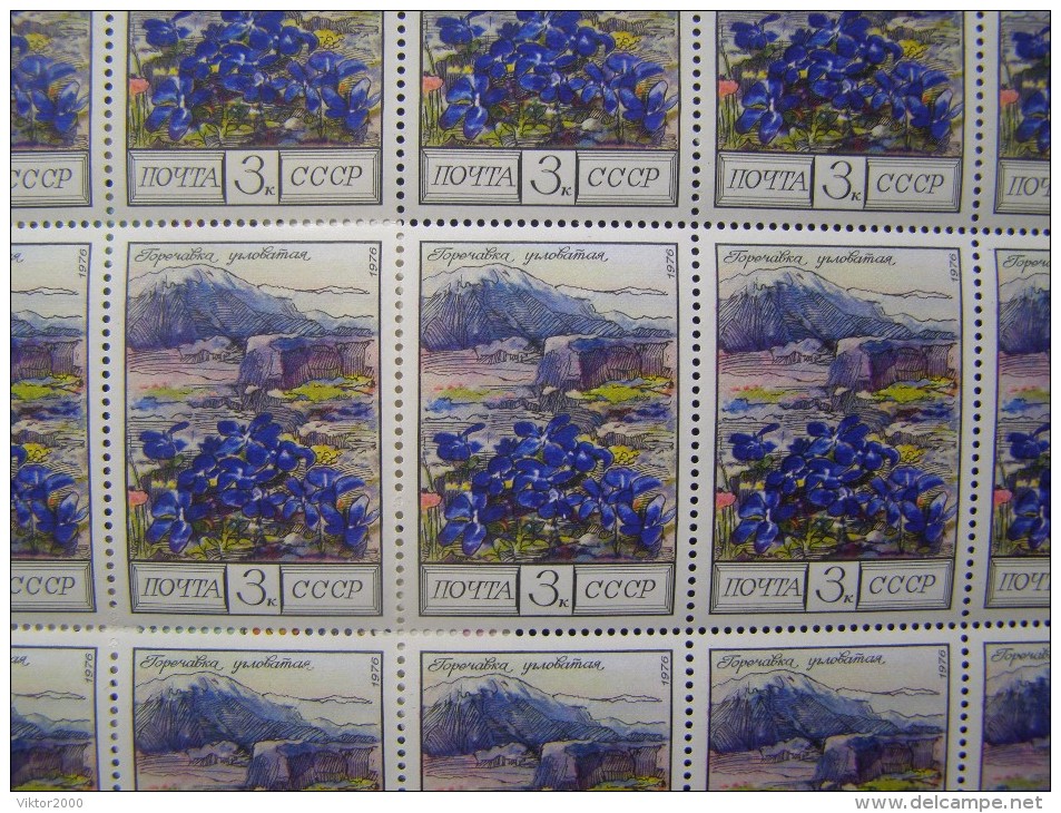 RUSSIA 1976 MNH (**)YVERT 4313-15 Flowers Of The Caucasus Mountains .3 Sheets Of 25 Stamps. - Volledige Vellen