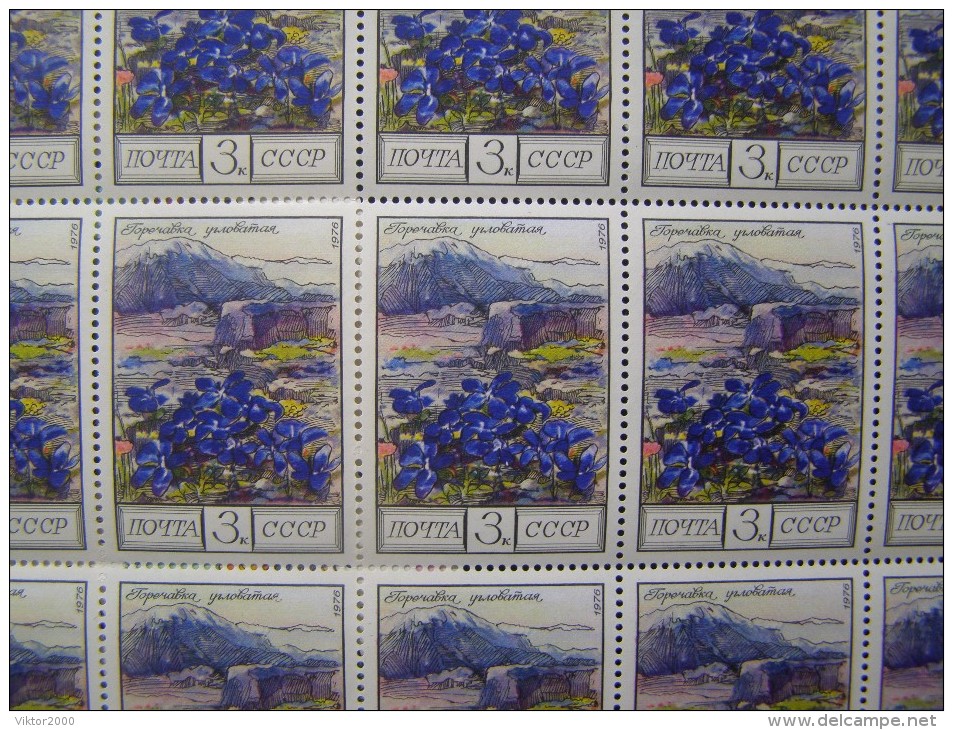 RUSSIA 1976 MNH (**)YVERT 4313-15 Flowers Of The Caucasus Mountains .3 Sheets Of 25 Stamps. - Fogli Completi