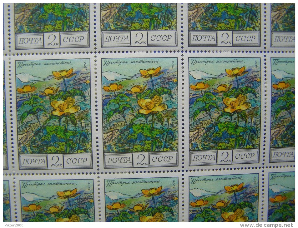 RUSSIA 1976 MNH (**)YVERT 4313-15 Flowers Of The Caucasus Mountains .3 Sheets Of 25 Stamps. - Feuilles Complètes