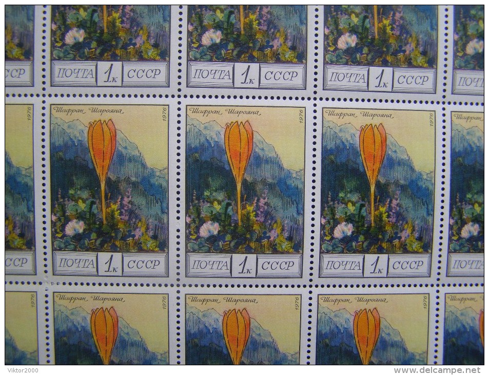 RUSSIA 1976 MNH (**)YVERT 4313-15 Flowers Of The Caucasus Mountains .3 Sheets Of 25 Stamps. - Fogli Completi