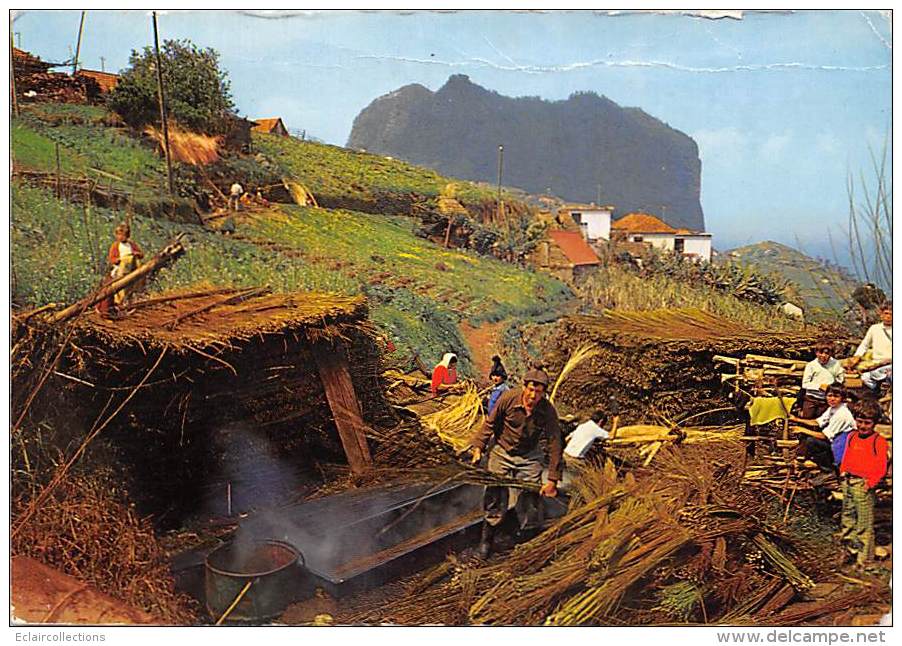 Portugal Madeira      Porto Da Cruz. Préparation D'osiers  (pliure)  10x15 - Madeira