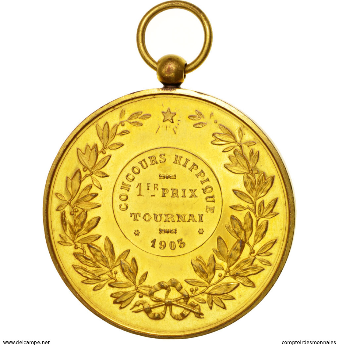 Belgique, Medal, Ville De Tournai, Sports & Leisure, 1903, Rogez, SPL, Bronze - Autres & Non Classés