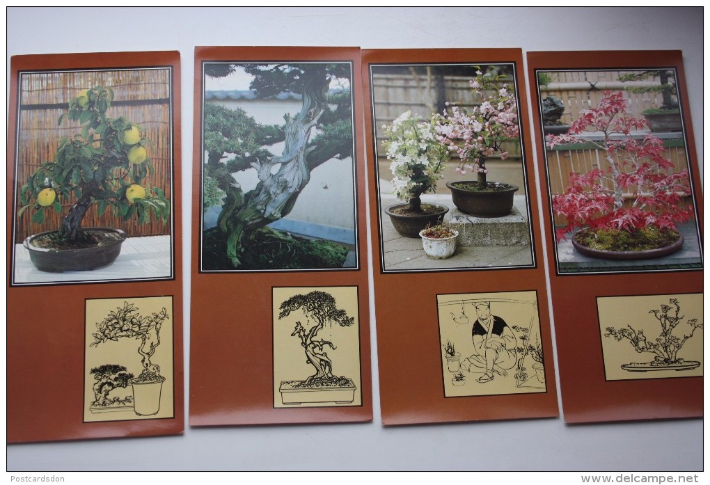 BONSAI WORLD - 21 Postcards Set -  Japanese Small Tree - Bonsai - Arbres