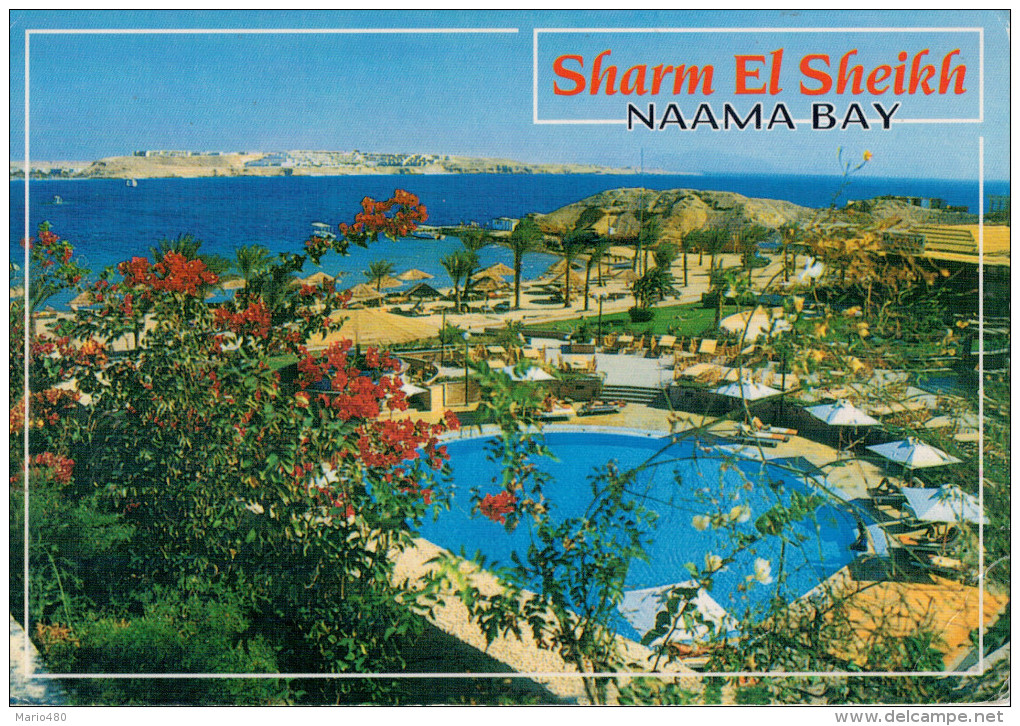 SHARM  EL  SHEIKH   NAAMA  BAY      MAXI-CARD     (VIAGGIATA) - Sharm El Sheikh