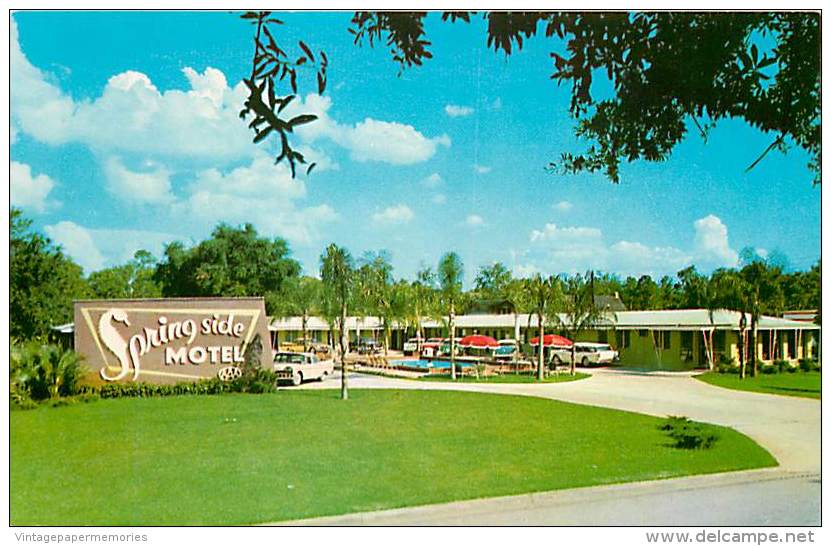 258235-Florida, Silver Springs, Spring Side Motel, Curteichcolor No 7C-K1414 - Silver Springs