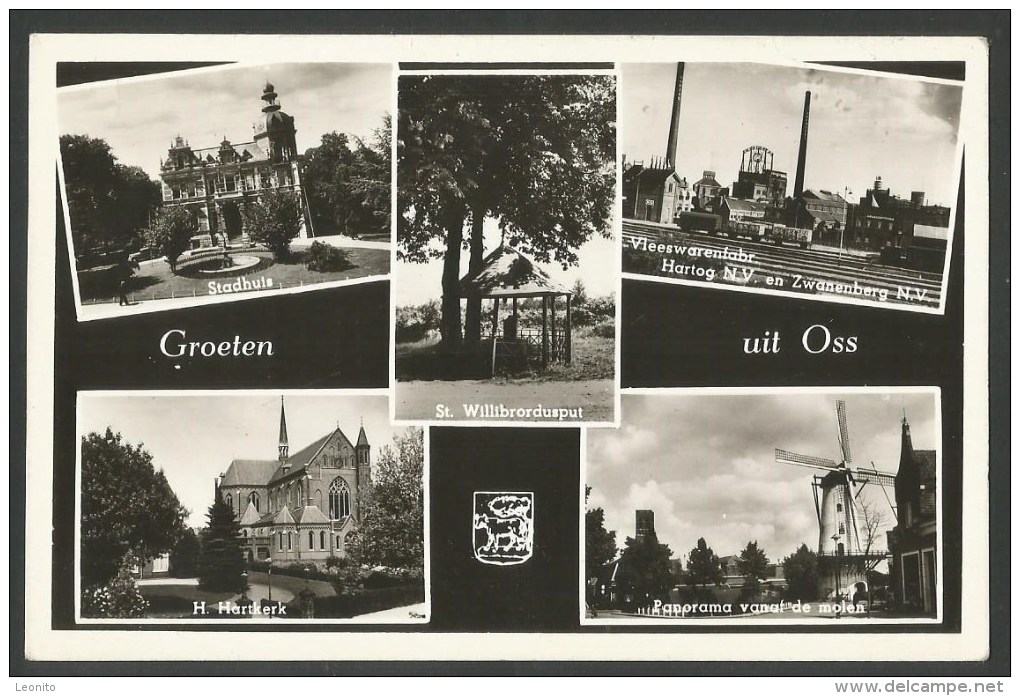 OSS Nederland Groeten Noord-Brabant Stadhuis H. Hartkerk Vleeswarenfabr. Panorama Molen 1956 - Oss