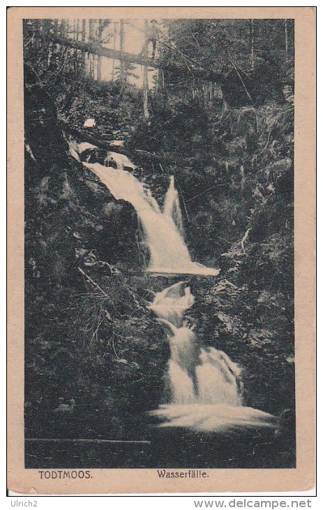 AK Todtmoos - Wasserfälle  (20922) - Todtmoos
