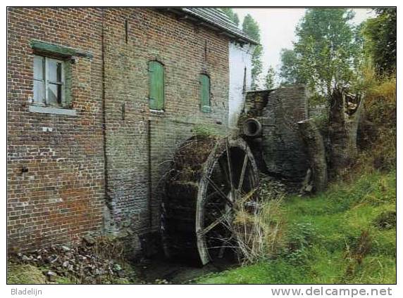 NEDERBRAKEL (O.Vl.) - Molen/moulin - Historisch Beeld V.d. Slijpkotmolen (1983), Nog In Het Bezit Van Zijn Bovenslagrad. - Brakel