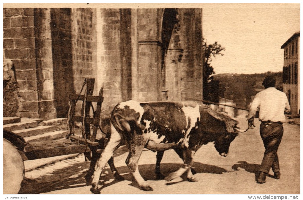 64 - URRUGNE Au Pays Basque Départ D´attelage Devant L´Eglise D'Urrugne - Urrugne