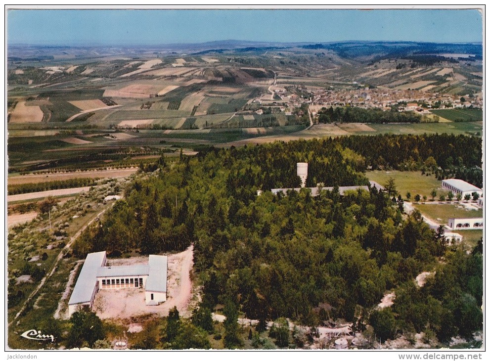 89 - SAINT BRIS LE VINEUX  Vue Générale Aérienne - Saint Bris Le Vineux