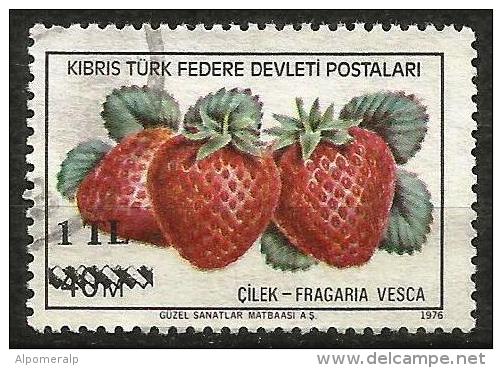 Turkish Cyprus 1979 - Mi. 67 O, Strawberry (Fragaria Vesca) | Fruits | Plants (Flora) | Overprint - Gebruikt