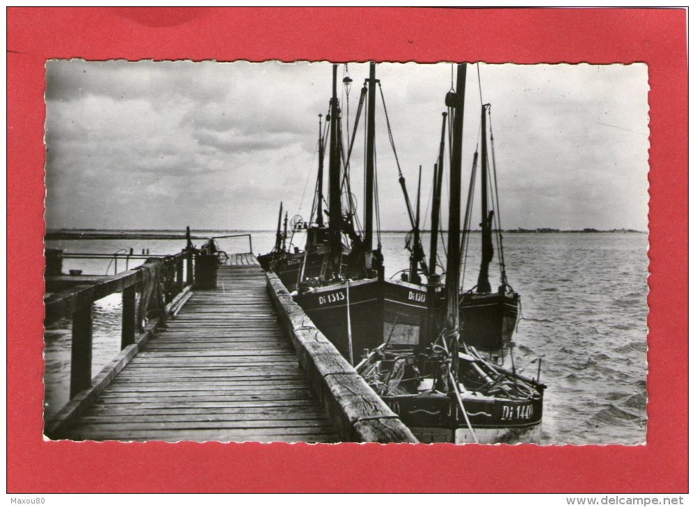 CAYEUX - LE HOURDEL - Le Port - - Le Hourdel