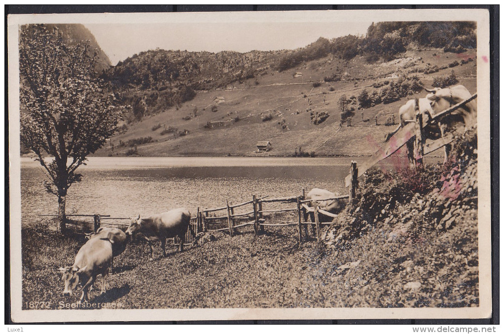 SWITZERLAND , SEELISBERGSEE , OLD POSTCARD - Seelisberg