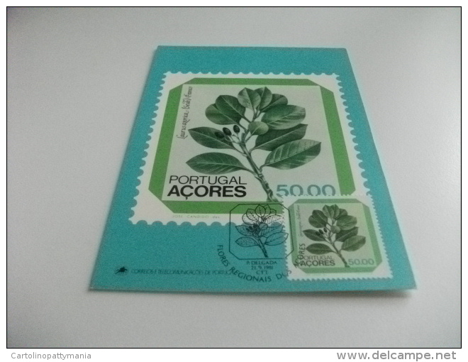 STORIA POSTALE FRANCOBOLLO COMMEMORATIVO MAXIMUM ACORES PORTOGALLO PIANTE LAURUS AZORICA SEUB. FRANCO ALLORO - Árboles