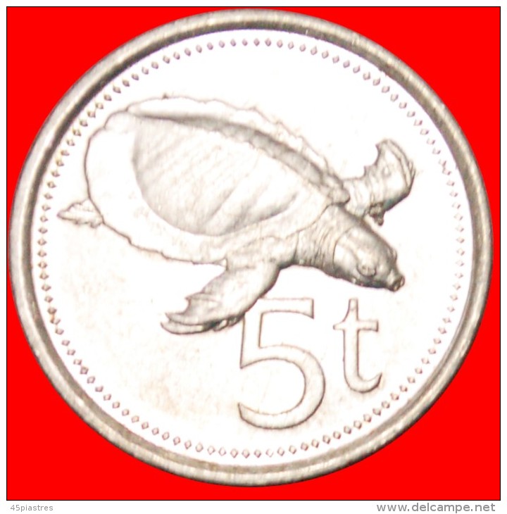 &#9733;TURTLE: PAPUA NEW GUINEA &#9733; 5 TOEA 1987!  LOW START&#9733;NO RESERVE!!! - Papouasie-Nouvelle-Guinée