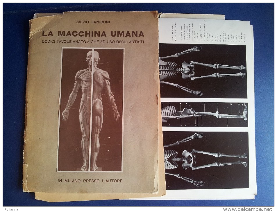 M#0M56 Silvio Zaniboni LA MACCHINA UMANA: TAVOLE ANATOMICHE AD USO DEGLI ARTISTI 1954 - Medicina, Psicología