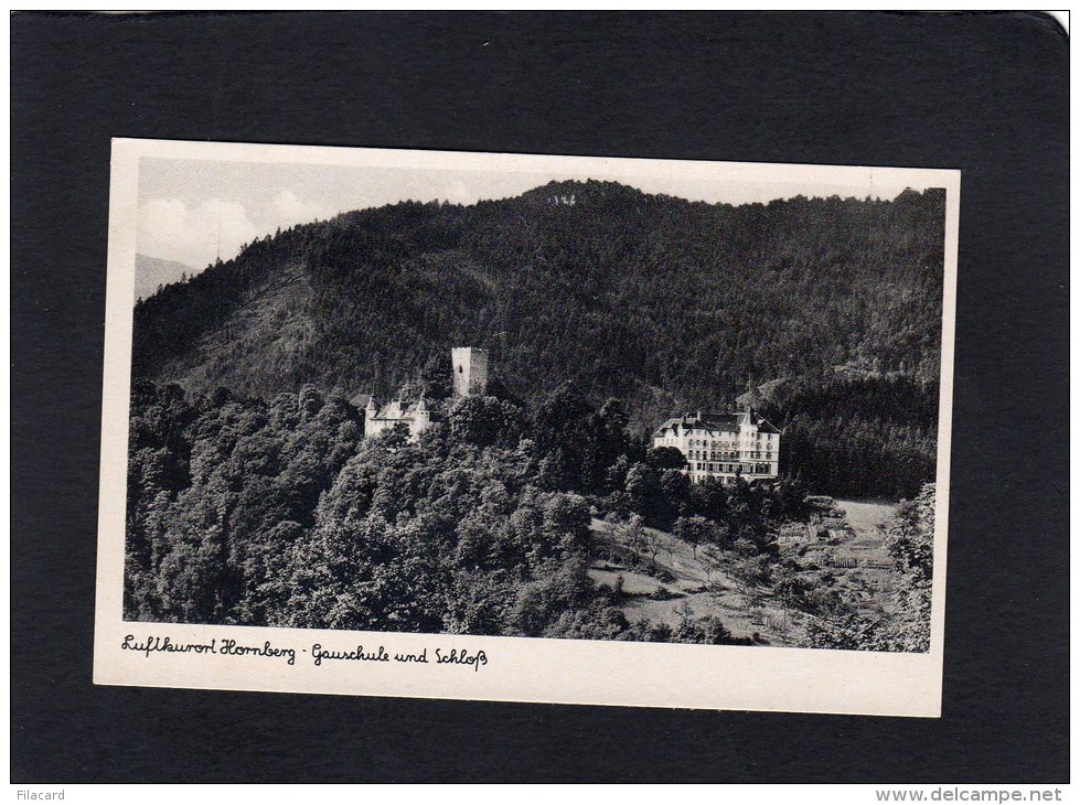 57860    Germania,  Luftkurort Hornberg,   Schloss Und Gauschule,    NV - Hornberg