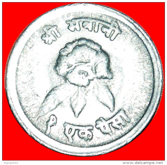 &#9733;FLOWER: NEPAL &#9733; 1 PAISA 2028 (1971)! LOW START&#9733;NO RESERVE! Mahendra Bir Bikram (1955-1972) - Népal