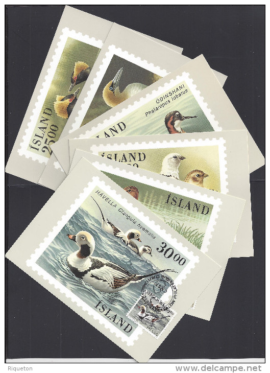 ISLANDE - 1989-91 " SALON PHILATELIQUE DE REYKJAVIK - SIX TRES JOLIES CARTES-MAXIMUM TIMBREES THEMATIQUE OISEAUX - - Maximum Cards