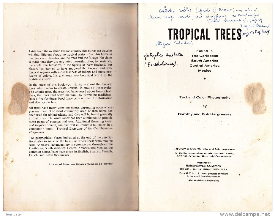 Tropical Trees - Found In The Caribbean, South America, Central America, Mexico - Livre D'occasion - Jardinage