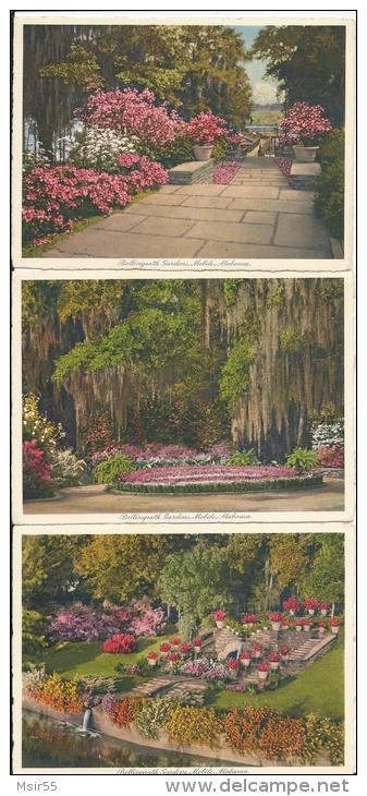 Lot De 9 CPA  - USA - ALABAMA  - Mobile - Bellingrath Gardens . - Mobile