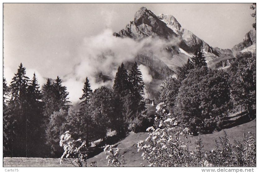 Suisse - Braunwald - Ortstock - Braunwald