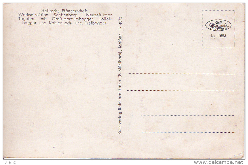 AK Senftenberger Tagebau Unmittelbar An Der Stadt  - Hallesche Pfännerschaft (21068) - Senftenberg