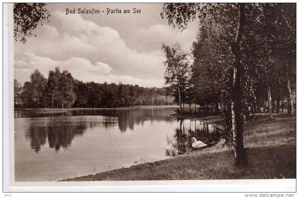 AK Bad Salzuflen Bei Bad Meinberg, Detmold, Lämershagen, Lippe, Teutoburger Wald -PARTIE AM SEE    -selten !!! - Bad Salzuflen