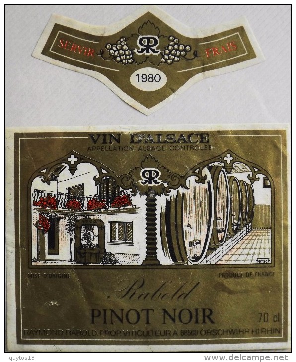 ETIQUETTE De VIN D'ALSACE - Pinot Noir 1980 - Raymond RABOLD - En Bon état - - Riesling