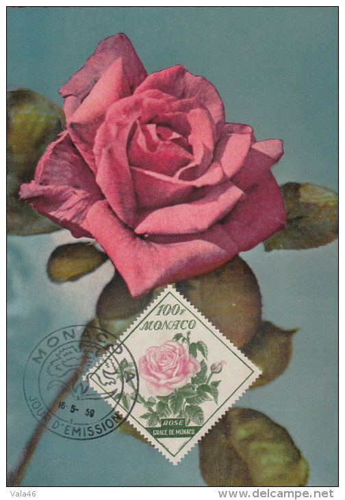 MONACO  THEME ROSE  N° 522     ROSE GRACE DE MONACO - Roses