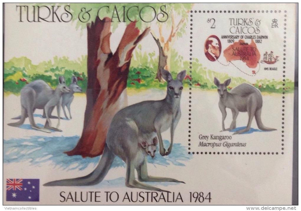 Turks & Caicos Islands MNH Souvenir Sheet 1981 : Anniversary Of Charles Darwin / Visiting To Australia / Kangooroo - Andere-Oceanië