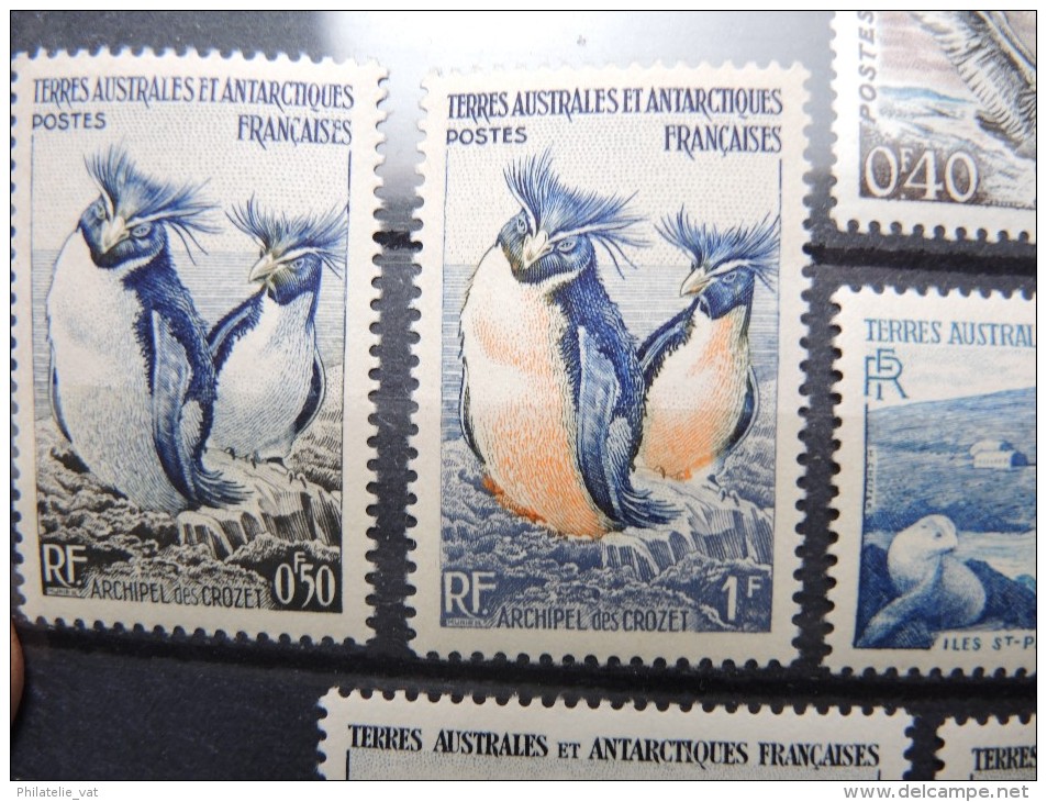 TAAF - Lot De Valeurs Luxes - A Voir - P 16258 - Nuevos