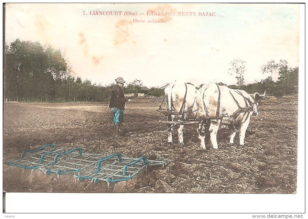 LIANCOURT   ETS BAJAC   Herse Articulée  Attelage De Boeufs    + QU ETAT !! - Wagengespanne