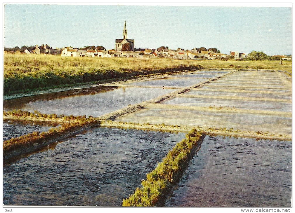 44  BOURGNEUF  LE  MARAIS  SALANTS - Bourgneuf-en-Retz