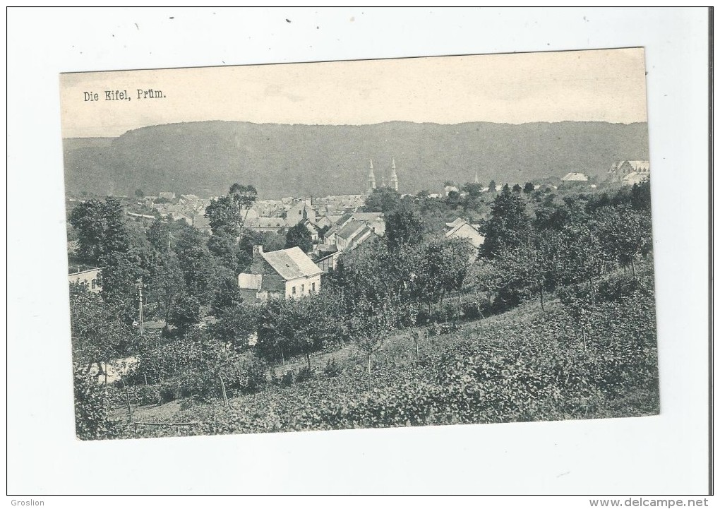 PRUM 10824 DIE EIFEL 1907 - Pruem