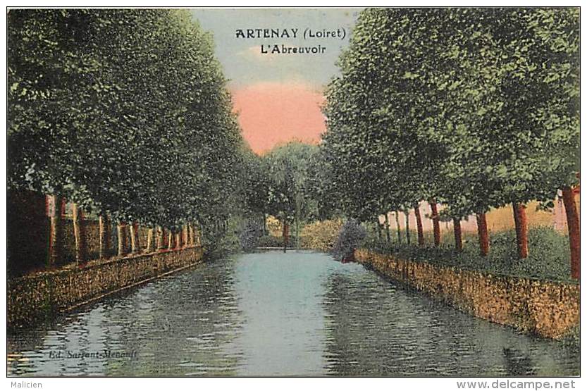 - Loiret - Ref - A626-  Artenay - L Abreuvoir - Abreuvoirs  - Carte Bon Etat - - Artenay