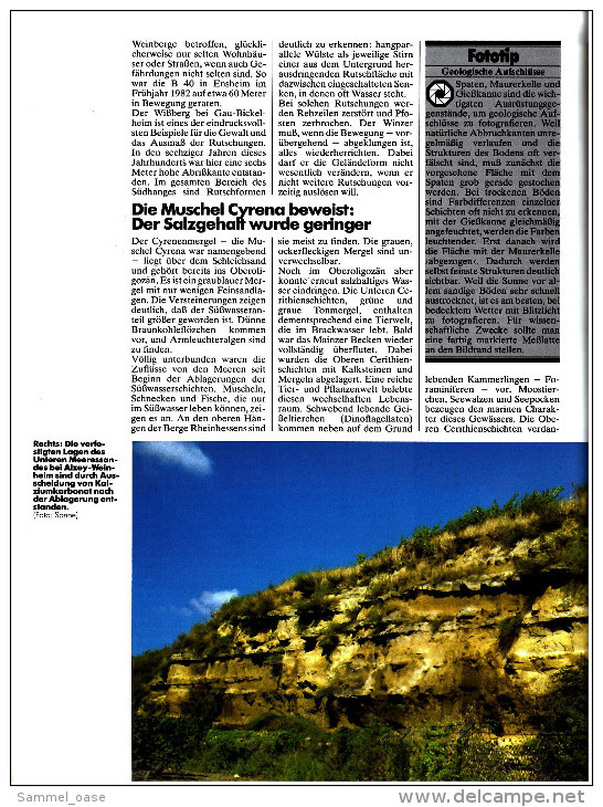 HB Bild-Atlas Bildband Naturmagazin Draußen  - Rheinhessen  -  Jeder Rebstock Eine Andere Sorte - Reise & Fun